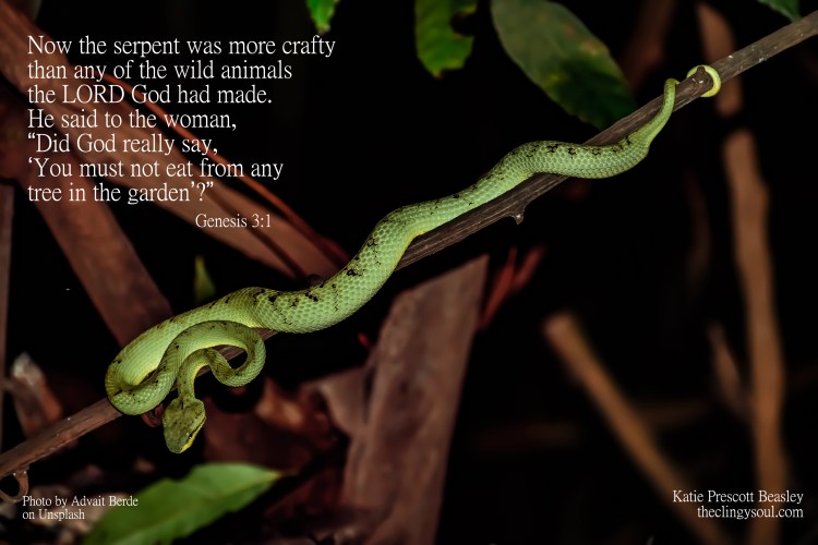 Crafty Serpent